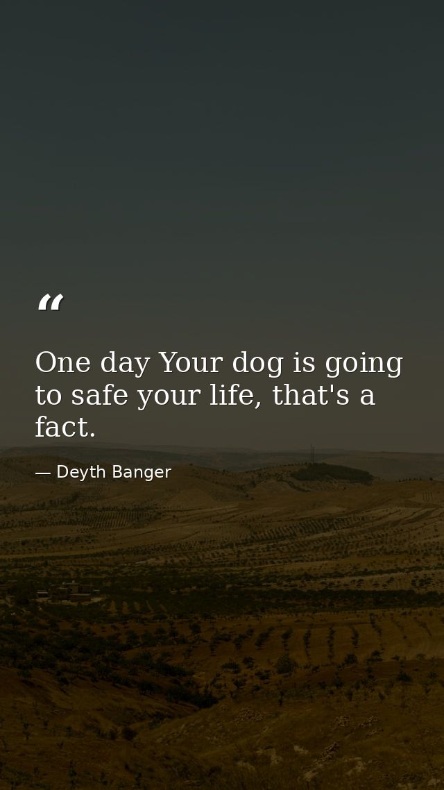One day Your dog is going to safe your life, that's a fact. — Deyth Banger