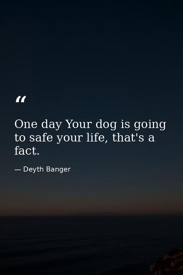 One day Your dog is going to safe your life, that's a fact. — Deyth Banger