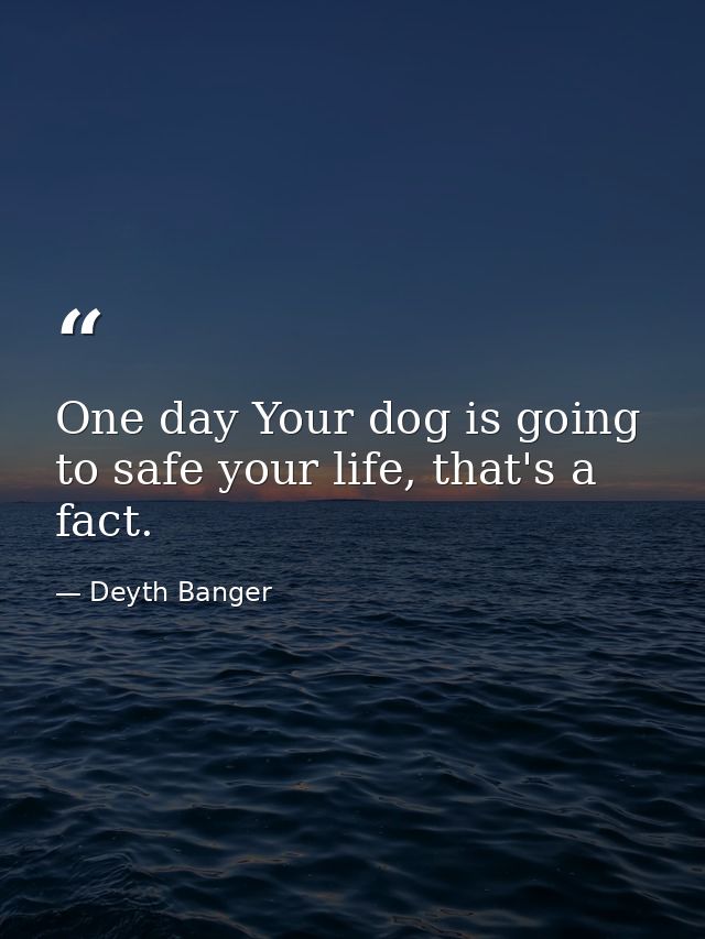 One day Your dog is going to safe your life, that's a fact. — Deyth Banger