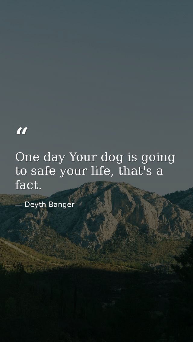 One day Your dog is going to safe your life, that's a fact. — Deyth Banger