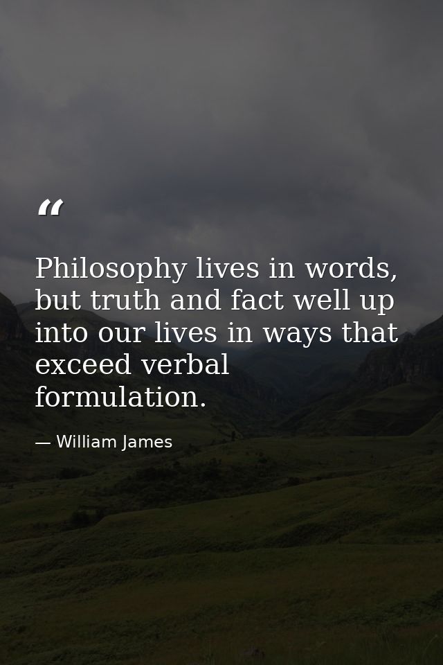 Philosophy lives in words, but truth and fact well up into our lives in ways that exceed verbal formulation. — William James