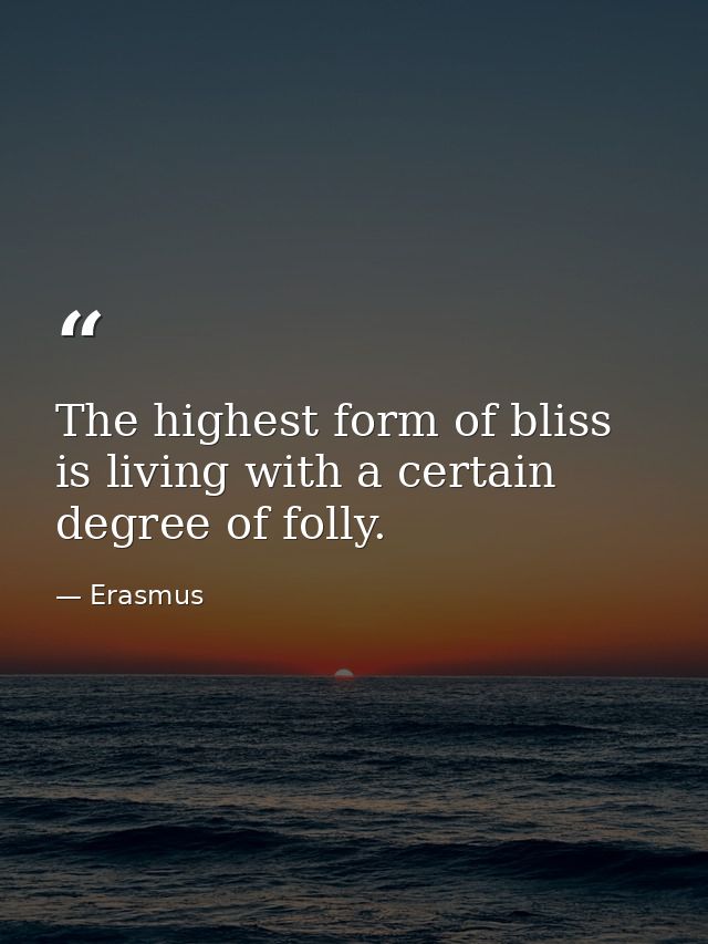 The highest form of bliss is living with a certain degree of folly. — Erasmus