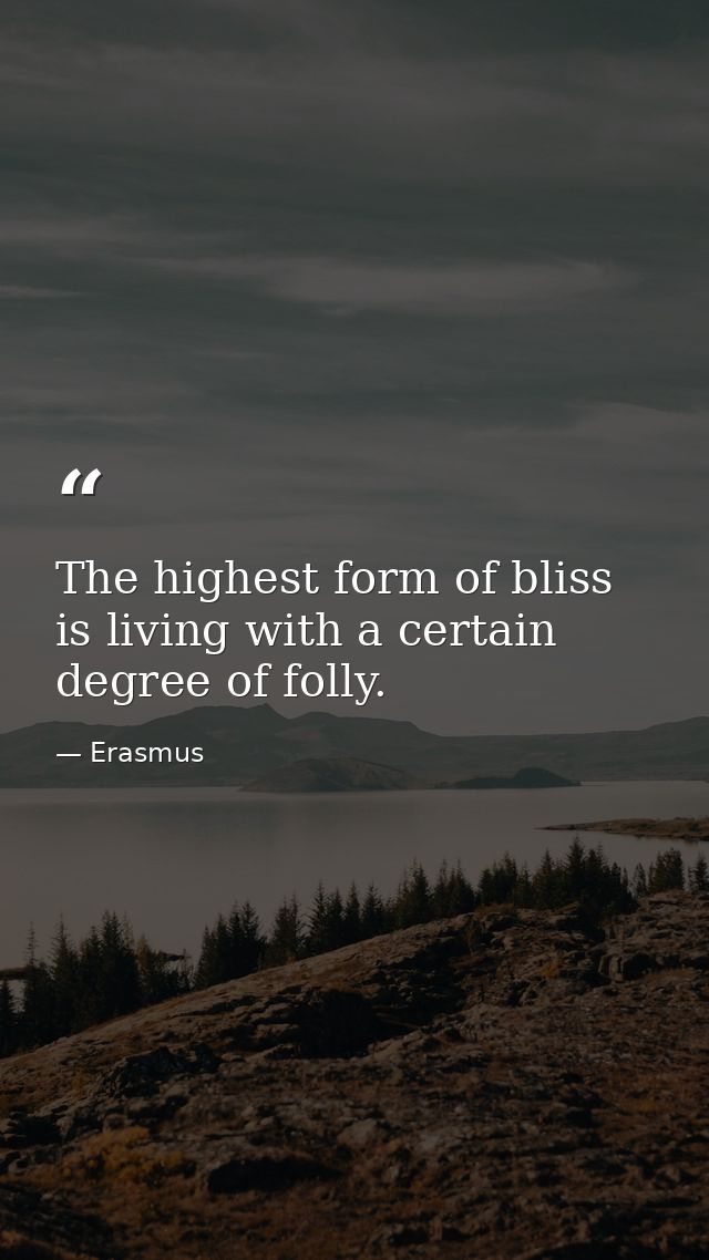 The highest form of bliss is living with a certain degree of folly. — Erasmus