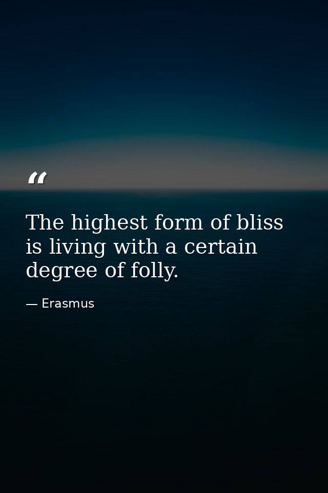 The highest form of bliss is living with a certain degree of folly. — Erasmus