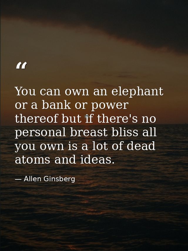 You can own an elephant or a bank or power thereof but if there's no personal breast bliss all you own is a lot of dead  — Allen Ginsberg