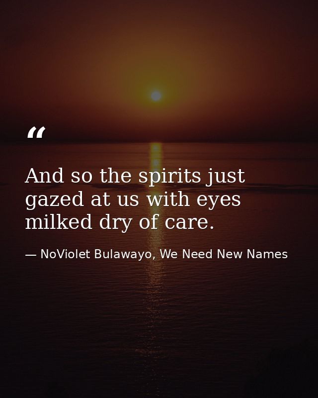 And so the spirits just gazed at us with eyes milked dry of care. — NoViolet Bulawayo, We Need New Names