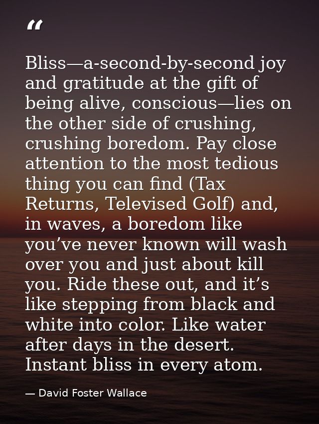 Bliss—a-second-by-second joy and gratitude at the gift of being alive, conscious—lies on the other side of crushing, cru — David Foster Wallace