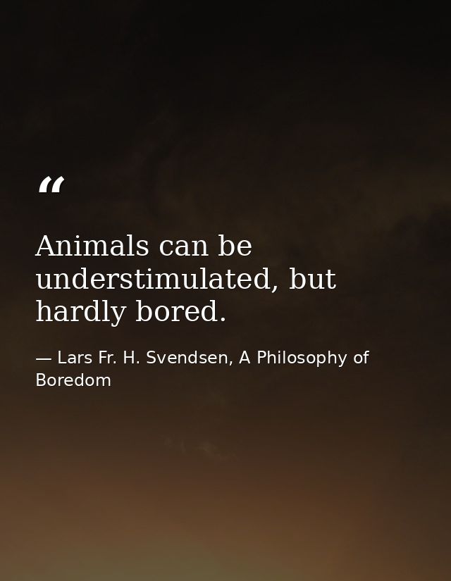 Animals can be understimulated, but hardly bored. — Lars Fr. H. Svendsen, A Philosophy of Boredom