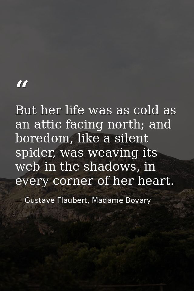 But her life was as cold as an attic facing north; and boredom, like a silent spider, was weaving its web in the shadows — Gustave Flaubert, Madame Bovary