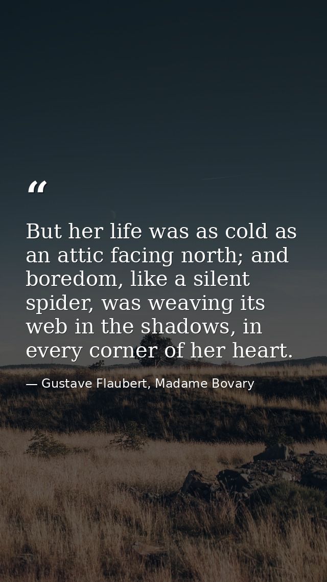 But her life was as cold as an attic facing north; and boredom, like a silent spider, was weaving its web in the shadows — Gustave Flaubert, Madame Bovary