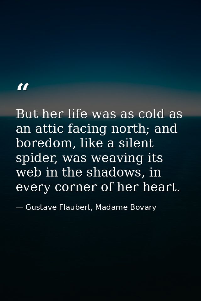 But her life was as cold as an attic facing north; and boredom, like a silent spider, was weaving its web in the shadows — Gustave Flaubert, Madame Bovary