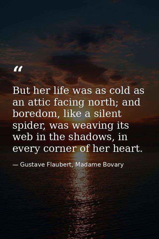 But her life was as cold as an attic facing north; and boredom, like a silent spider, was weaving its web in the shadows — Gustave Flaubert, Madame Bovary