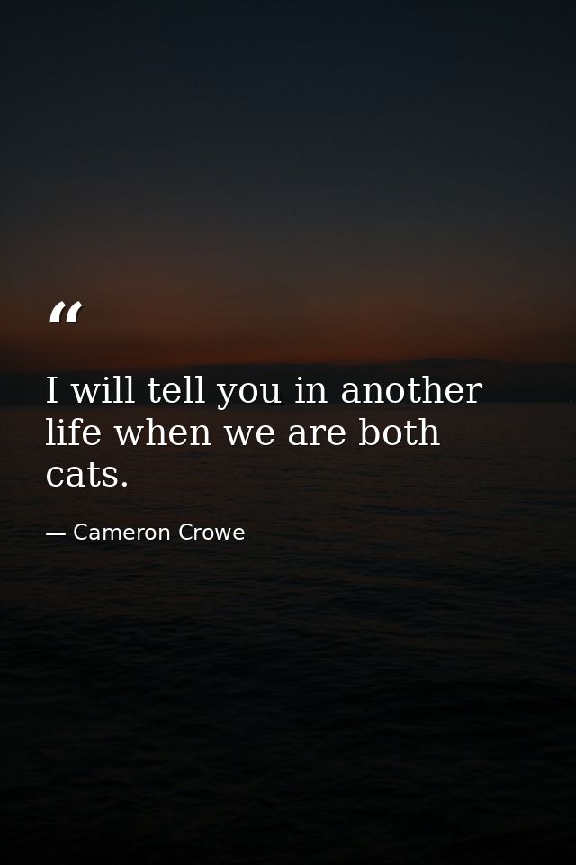 I will tell you in another life when we are both cats. — Cameron Crowe