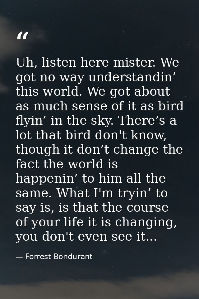 Uh, listen here mister. We got no way understandin’ this world. We got about as much sense of it as bird flyin’ in the s — Forrest Bondurant