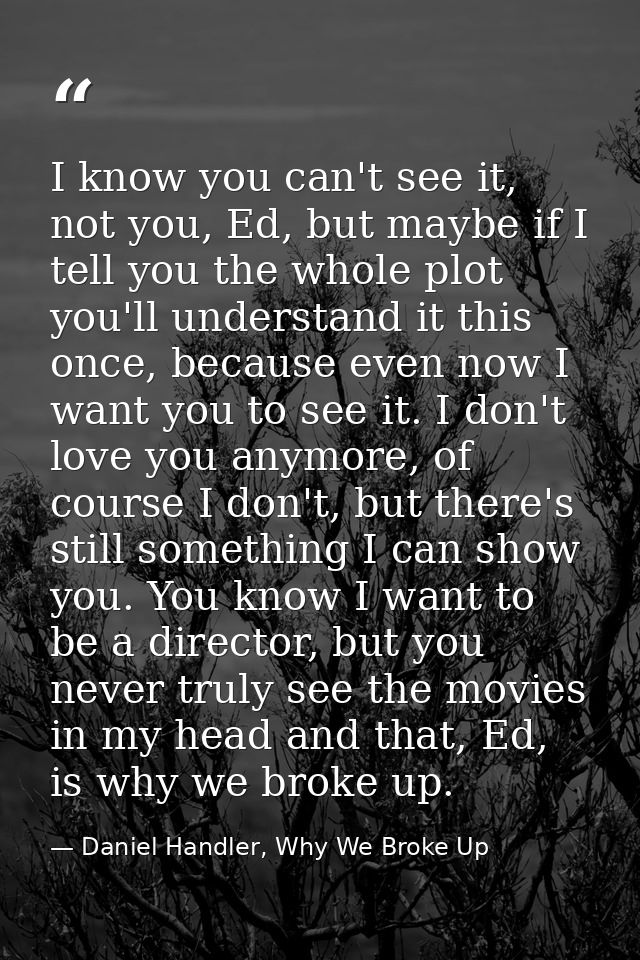 I know you can't see it, not you, Ed, but maybe if I tell you the whole plot you'll understand it this once, because eve — Daniel Handler, Why We Broke Up