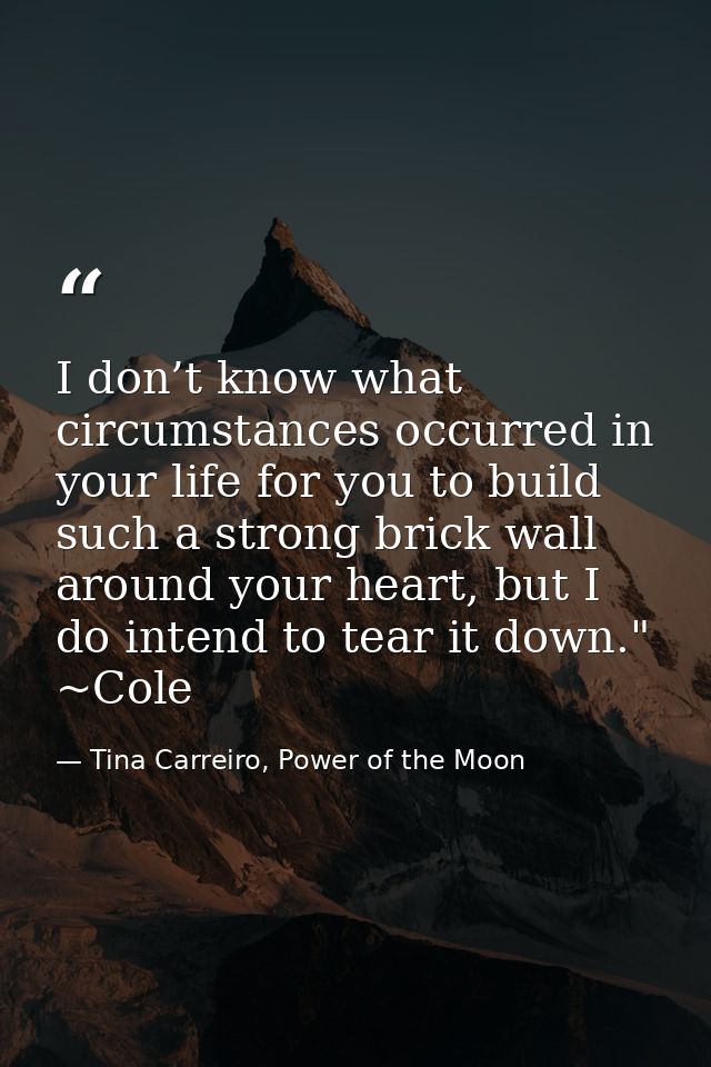 I don’t know what circumstances occurred in your life for you to build such a strong brick wall around your heart, but I — Tina Carreiro, Power of the Moon