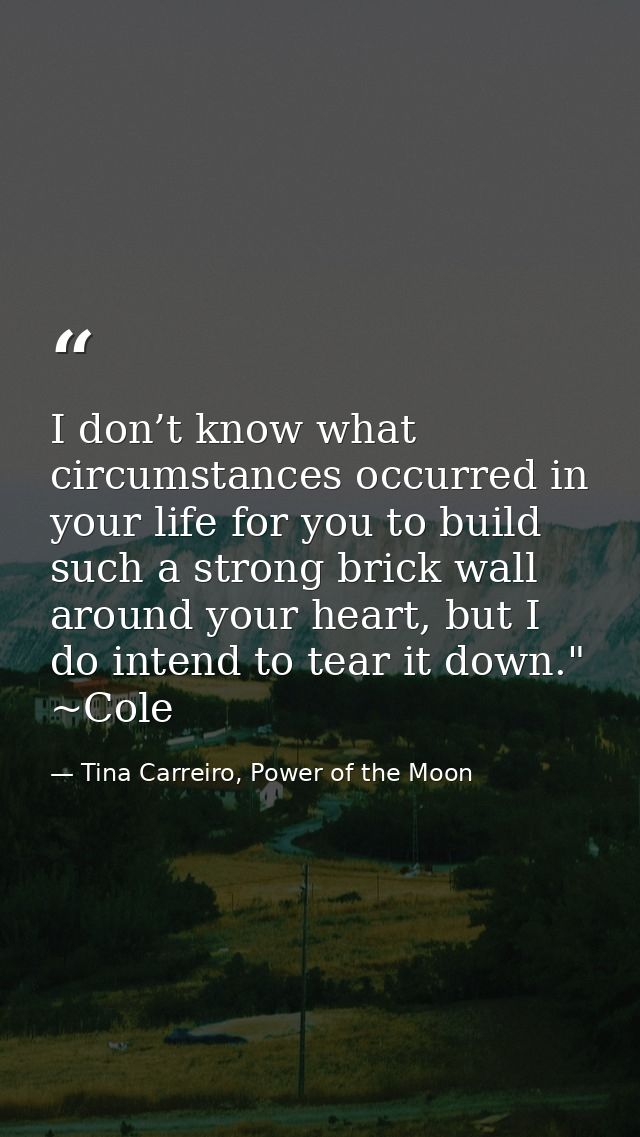 I don’t know what circumstances occurred in your life for you to build such a strong brick wall around your heart, but I — Tina Carreiro, Power of the Moon