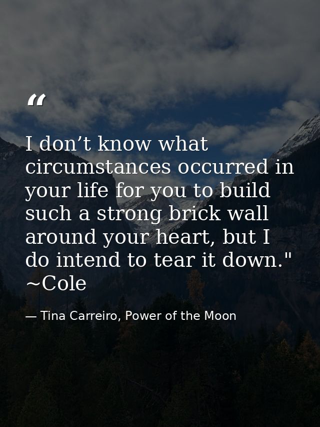 I don’t know what circumstances occurred in your life for you to build such a strong brick wall around your heart, but I — Tina Carreiro, Power of the Moon