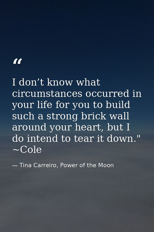 I don’t know what circumstances occurred in your life for you to build such a strong brick wall around your heart, but I — Tina Carreiro, Power of the Moon