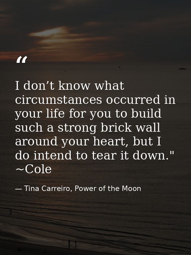 I don’t know what circumstances occurred in your life for you to build such a strong brick wall around your heart, but I — Tina Carreiro, Power of the Moon