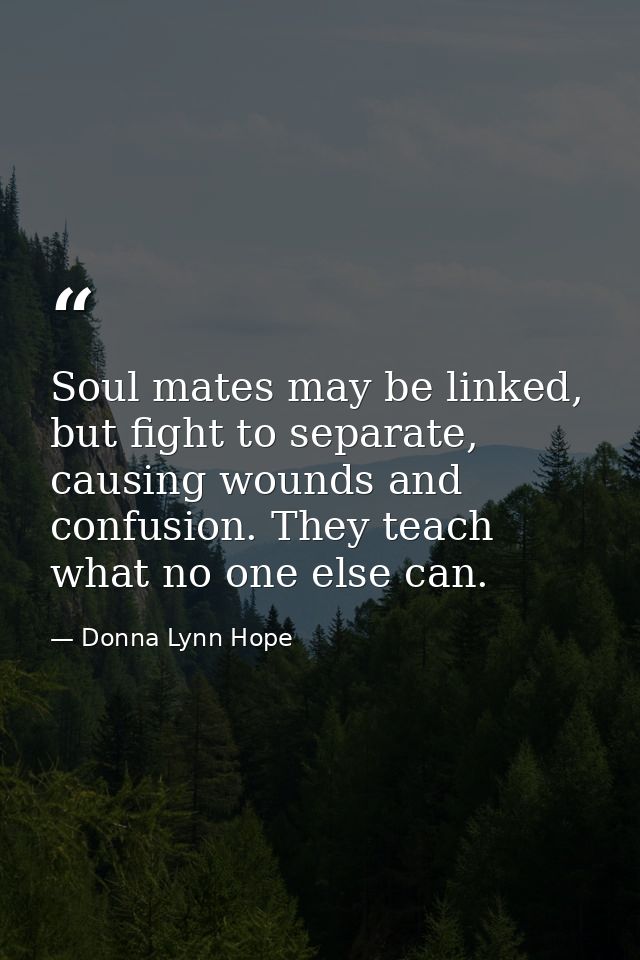 Soul mates may be linked, but fight to separate, causing wounds and confusion. They teach what no one else can. — Donna Lynn Hope