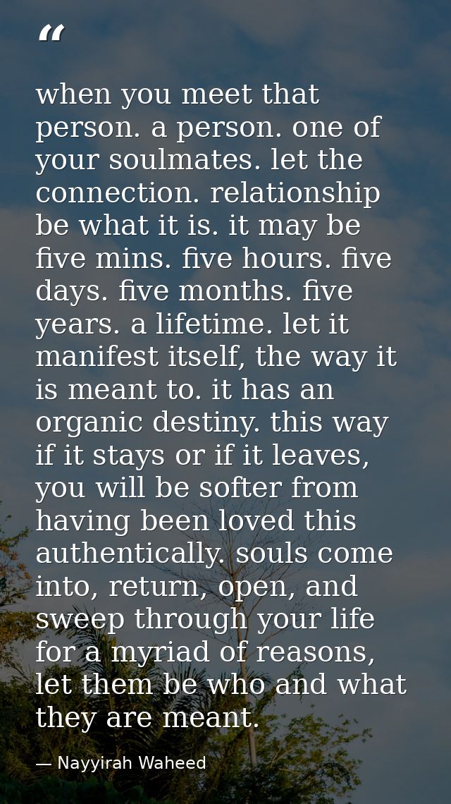 when you meet that person. a person. one of your soulmates. let the connection. relationship be what it is. it may be fi — Nayyirah Waheed