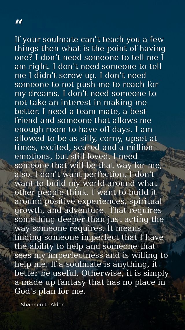 If your soulmate can't teach you a few things then what is the point of having one? I don't need someone to tell me I am — Shannon L. Alder