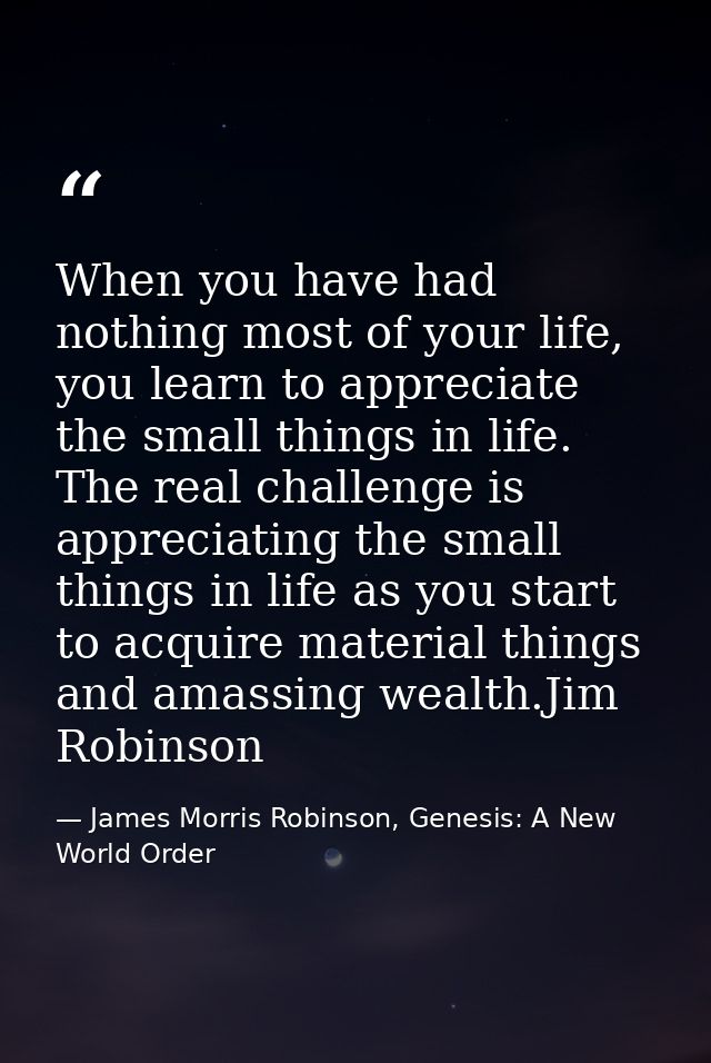 When you have had nothing most of your life, you learn to appreciate the small things in life. The real challenge is app — James Morris Robinson, Genesis: A New World Order