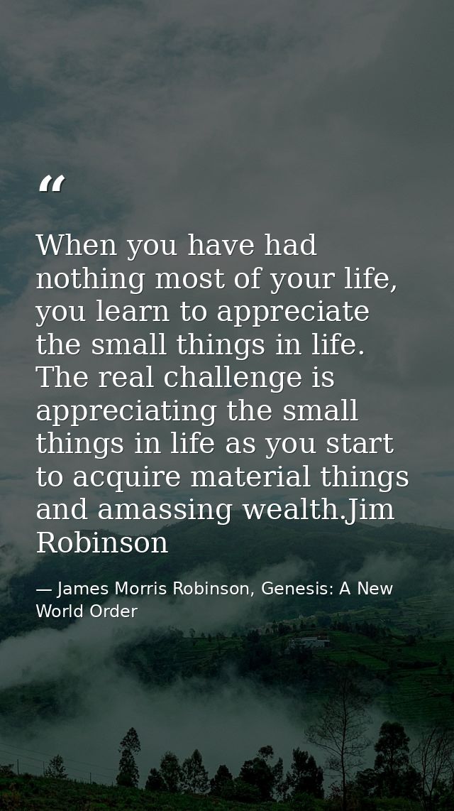 When you have had nothing most of your life, you learn to appreciate the small things in life. The real challenge is app — James Morris Robinson, Genesis: A New World Order