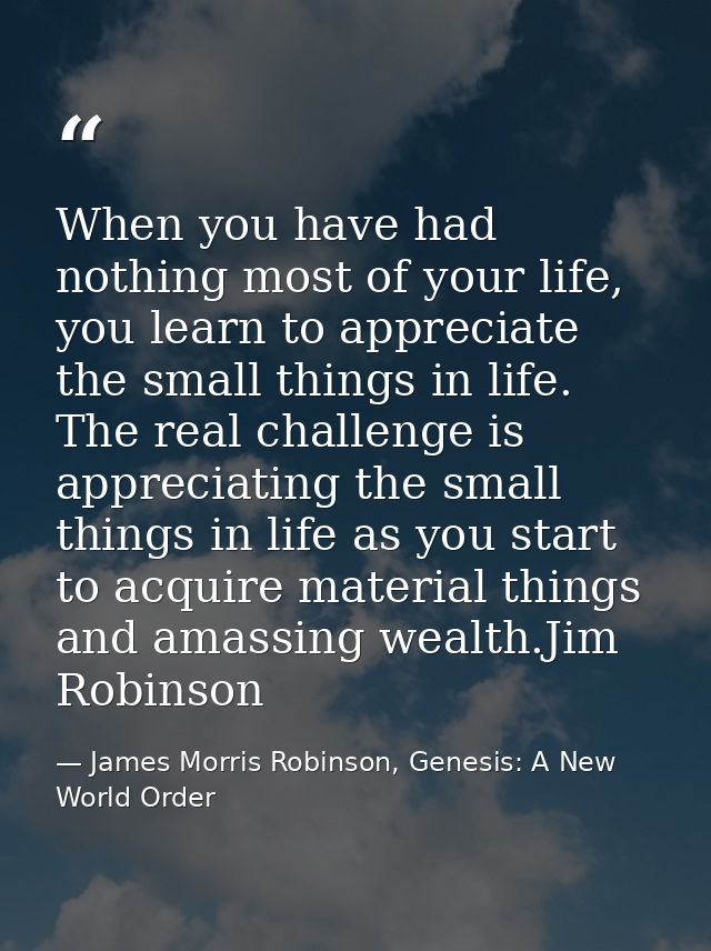 When you have had nothing most of your life, you learn to appreciate the small things in life. The real challenge is app — James Morris Robinson, Genesis: A New World Order