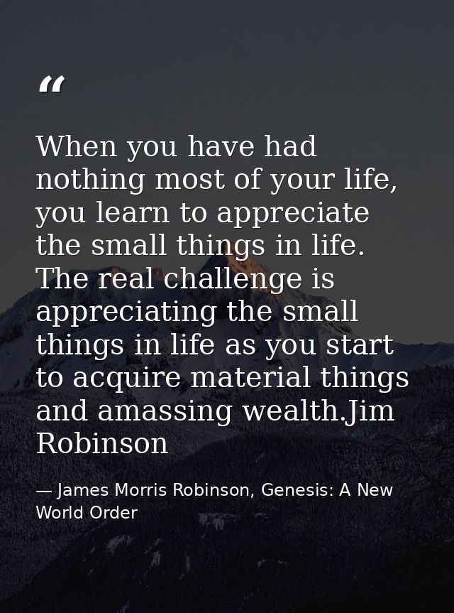 When you have had nothing most of your life, you learn to appreciate the small things in life. The real challenge is app — James Morris Robinson, Genesis: A New World Order