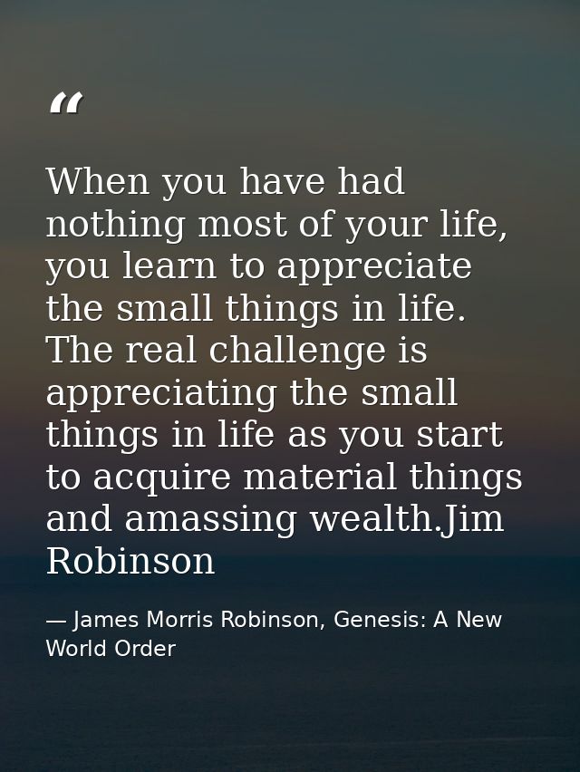 When you have had nothing most of your life, you learn to appreciate the small things in life. The real challenge is app — James Morris Robinson, Genesis: A New World Order