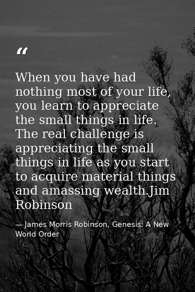 When you have had nothing most of your life, you learn to appreciate the small things in life. The real challenge is app — James Morris Robinson, Genesis: A New World Order