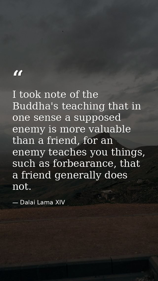 I took note of the Buddha's teaching that in one sense a supposed enemy is more valuable than a friend, for an enemy tea — Dalai Lama XIV