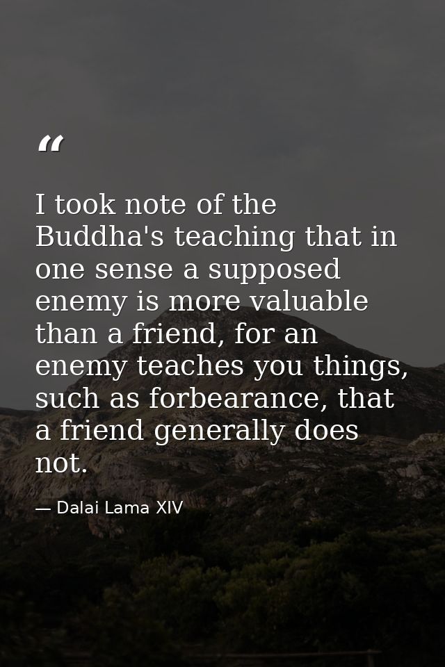 I took note of the Buddha's teaching that in one sense a supposed enemy is more valuable than a friend, for an enemy tea — Dalai Lama XIV