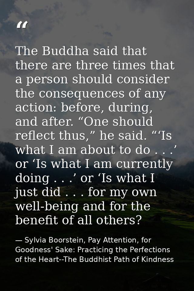 The Buddha said that there are three times that a person should consider the consequences of any action: before, during, — Sylvia Boorstein, Pay Attention, for Goodness' Sake: Practicing the Perfections of the Heart--The Buddhist Path of Kindness
