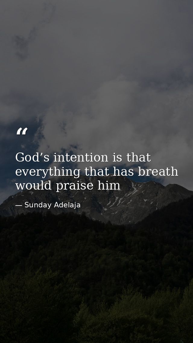 God’s intention is that everything that has breath would praise him — Sunday Adelaja
