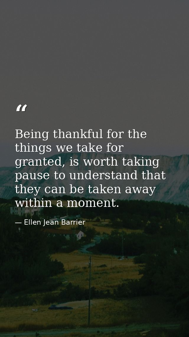 Being thankful for the things we take for granted, is worth taking pause to understand that they can be taken away withi — Ellen Jean Barrier