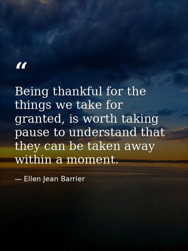 Being thankful for the things we take for granted, is worth taking pause to understand that they can be taken away withi — Ellen Jean Barrier