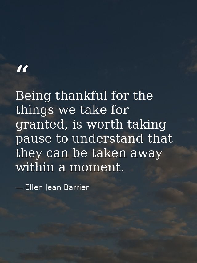 Being thankful for the things we take for granted, is worth taking pause to understand that they can be taken away withi — Ellen Jean Barrier
