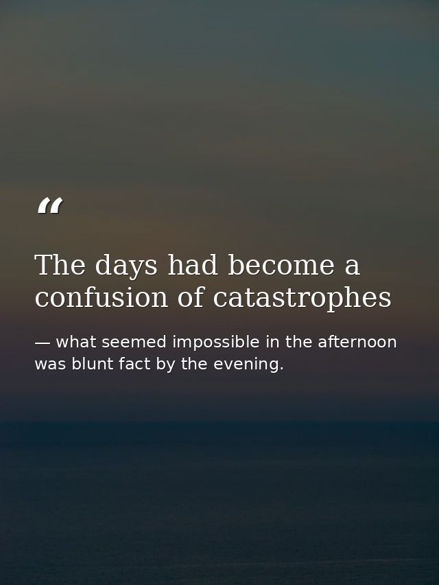 The days had become a confusion of catastrophes — what seemed impossible in the afternoon was blunt fact by the evening.