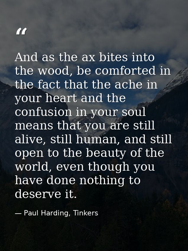 And as the ax bites into the wood, be comforted in the fact that the ache in your heart and the confusion in your soul m — Paul Harding, Tinkers