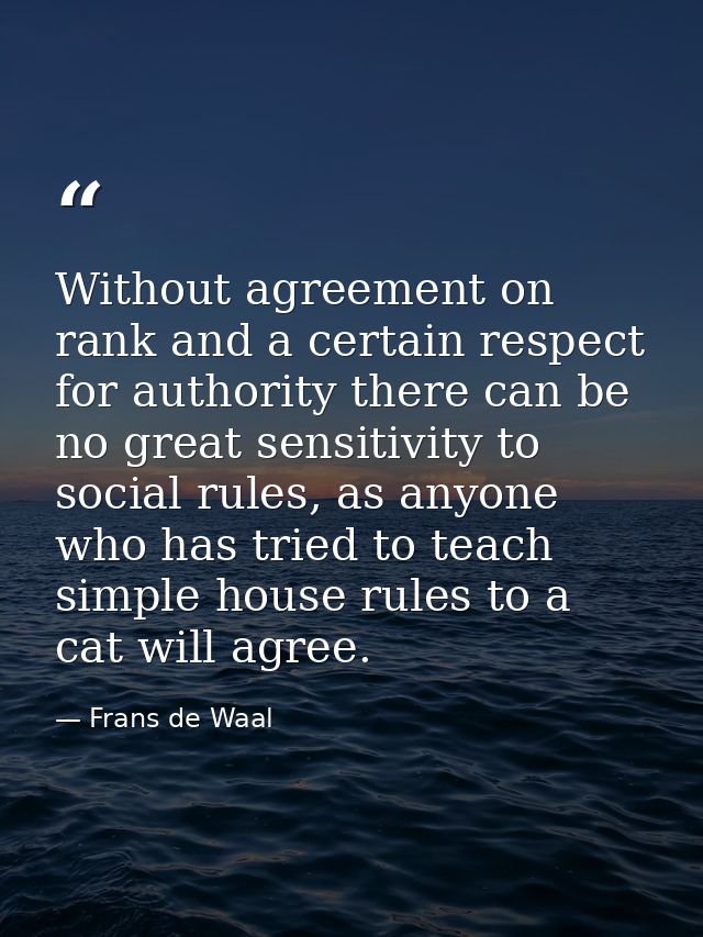 Without agreement on rank and a certain respect for authority there can be no great sensitivity to social rules, as anyo — Frans de Waal