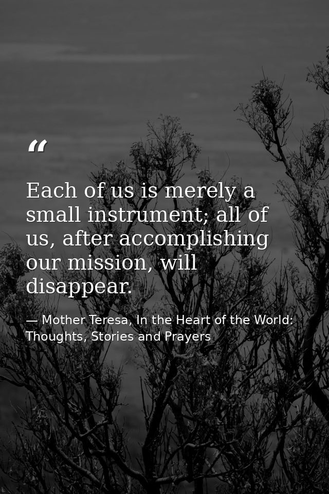 Each of us is merely a small instrument; all of us, after accomplishing our mission, will disappear. — Mother Teresa, In the Heart of the World: Thoughts, Stories and Prayers