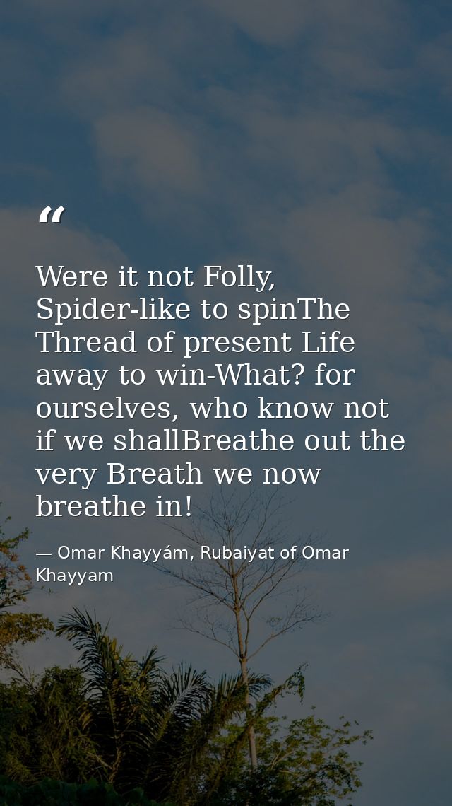 Were it not Folly, Spider-like to spinThe Thread of present Life away to win-What? for ourselves, who know not if we sha — Omar Khayyám, Rubaiyat of Omar Khayyam