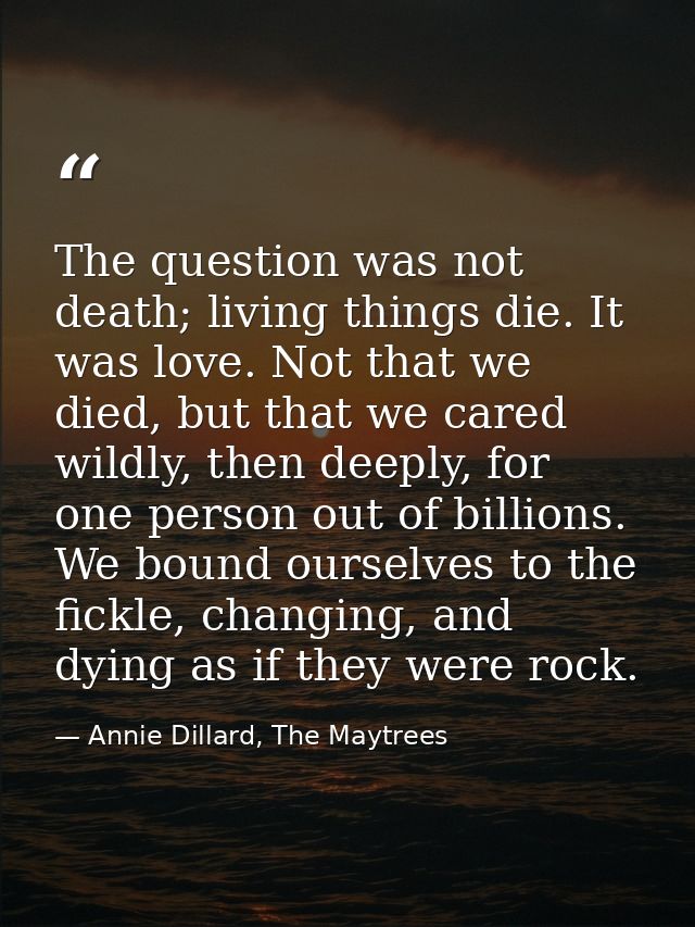 The question was not death; living things die. It was love. Not that we died, but that we cared wildly, then deeply, for — Annie Dillard, The Maytrees