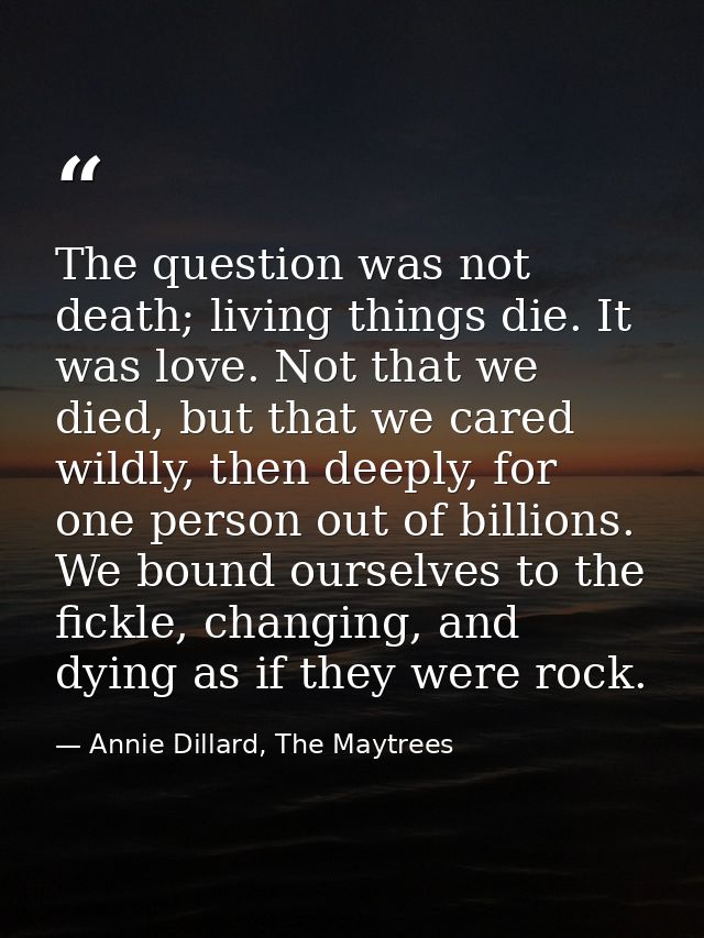 The question was not death; living things die. It was love. Not that we died, but that we cared wildly, then deeply, for — Annie Dillard, The Maytrees