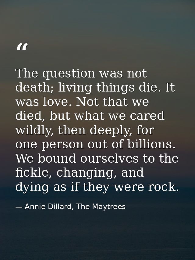 The question was not death; living things die. It was love. Not that we died, but what we cared wildly, then deeply, for — Annie Dillard, The Maytrees