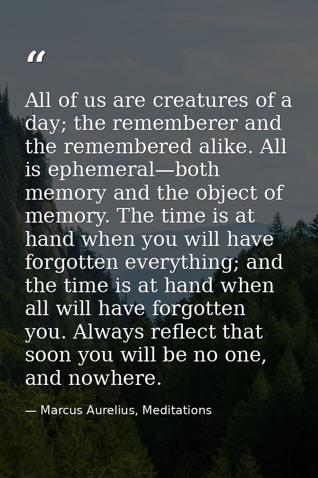 All of us are creatures of a day; the rememberer and the remembered alike. All is ephemeral—both memory and the object o — Marcus Aurelius, Meditations