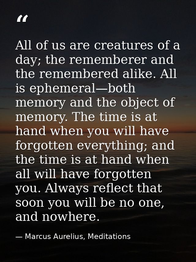 All of us are creatures of a day; the rememberer and the remembered alike. All is ephemeral—both memory and the object o — Marcus Aurelius, Meditations